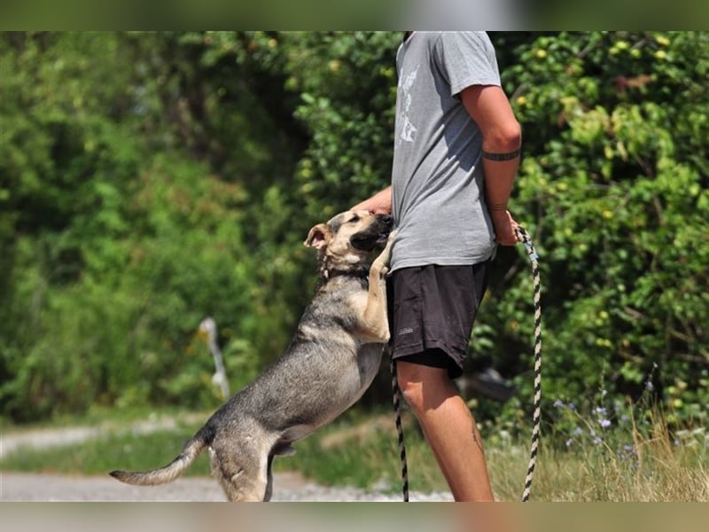 Hant sucht liebevolle, geduldige Menschen