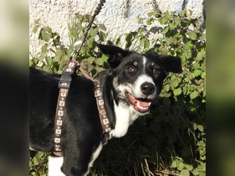 Naomi sucht ein Zuhause