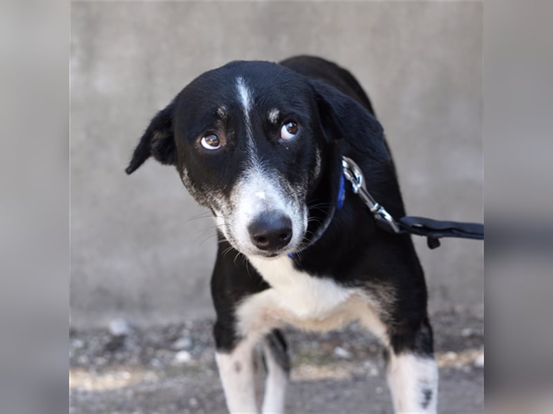 Naomi sucht ein Zuhause