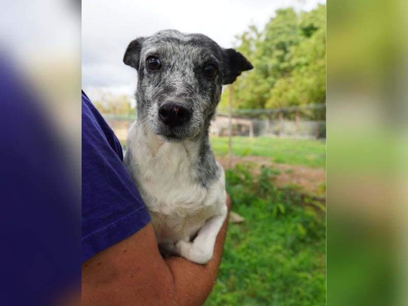 Susy VA, ist noch etwas unsicher