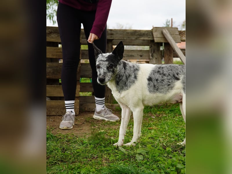 Susy VA, ist noch etwas unsicher