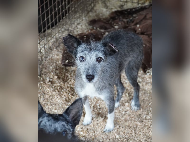 Sissy VA, ist noch etwas unsicher