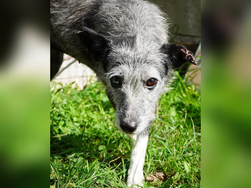 Sissy VA, ist noch etwas unsicher