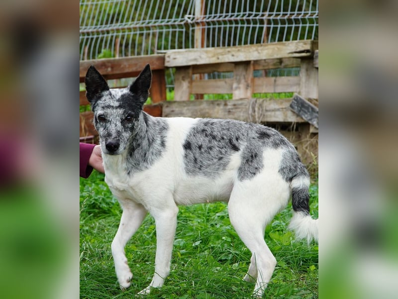 Susy VA, ist noch etwas unsicher