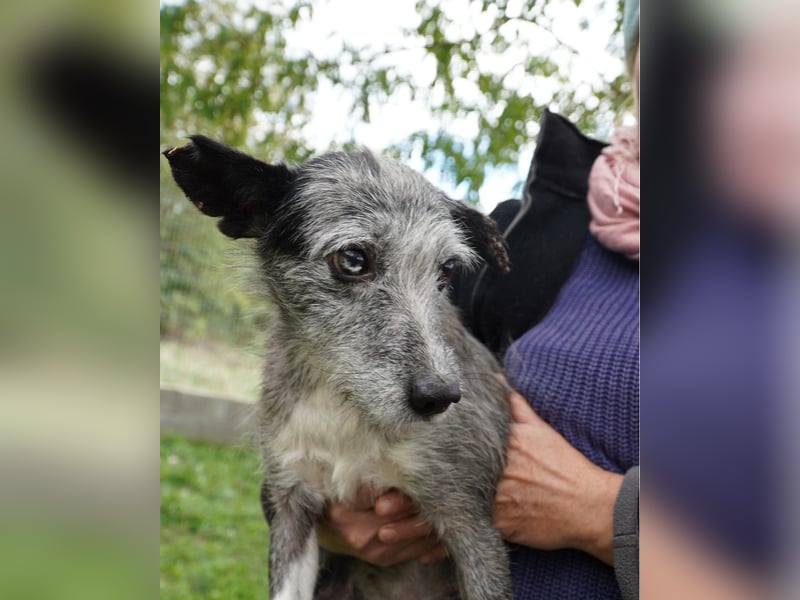 Sissy VA, ist noch etwas unsicher