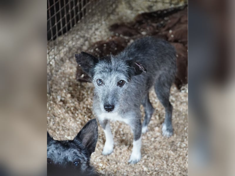 Sissy VA, ist noch etwas unsicher