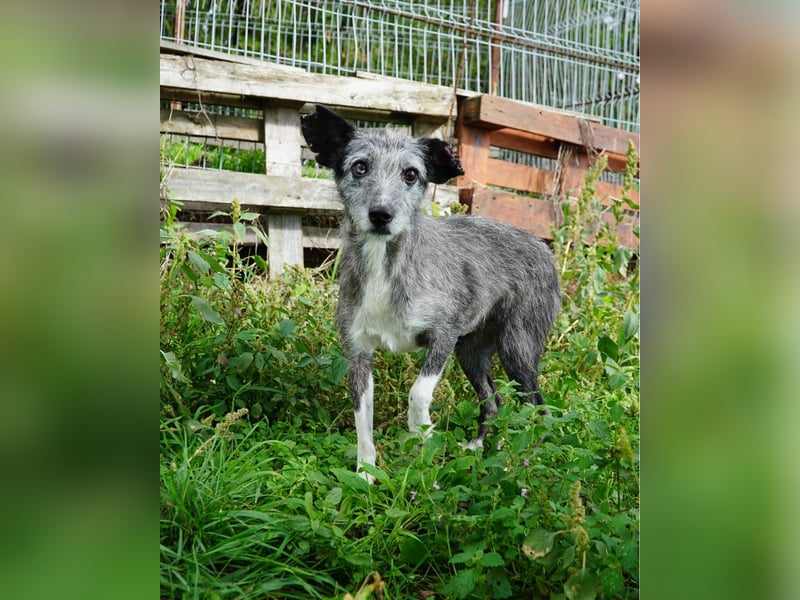 Sissy VA, ist noch etwas unsicher