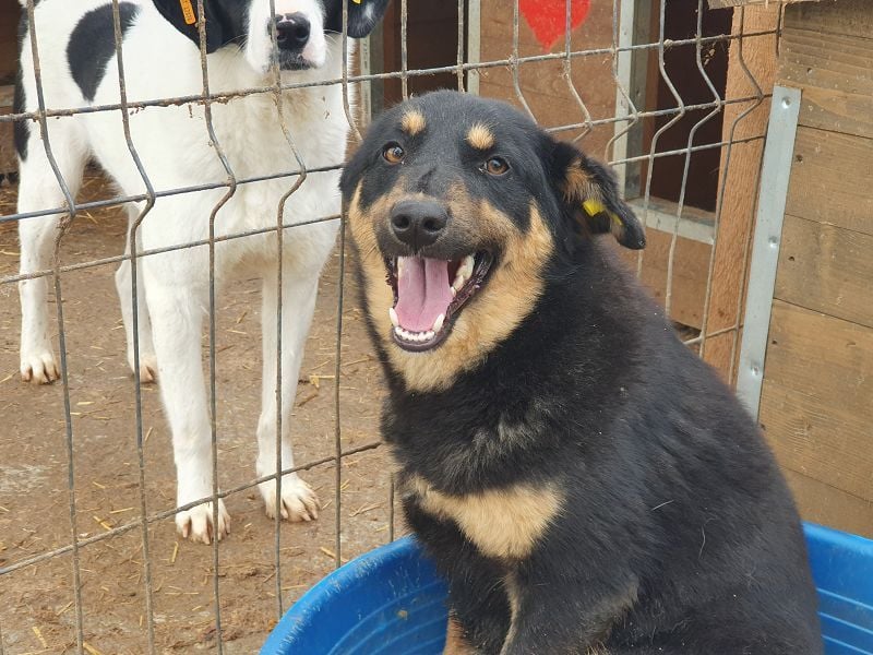 ♥ADRIANA♥ hübsche, eher zarte und zurückhaltende Zuckermaus 49 cm
