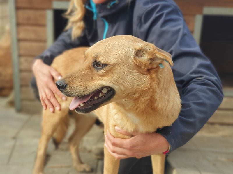 ♥PAULA♥ hübsche, sehr liebe, noch etwas zurückhaltende Zuckerschnute 46 cm