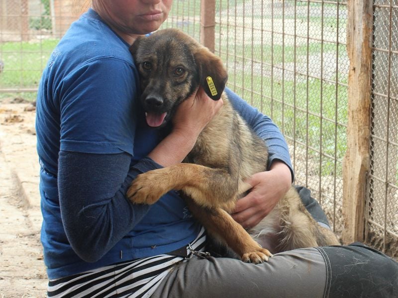 ♥MATS♥ fröhlicher, lieber schlanker Jungspund mit der handlichen Größe von 44 cm ♥MATS♥ fröhlicher, lieber schlanker Jungspund mit der handlichen Größe von 44 cm