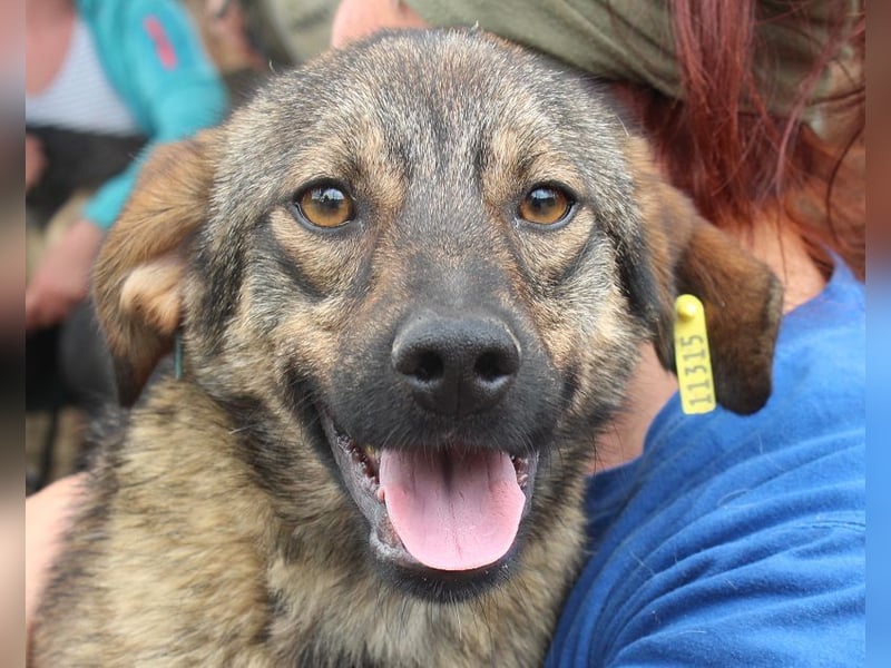 ♥MATS♥ fröhlicher, lieber schlanker Jungspund mit der handlichen Größe von 44 cm ♥MATS♥ fröhlicher, lieber schlanker Jungspund mit der handlichen Größe von 44 cm