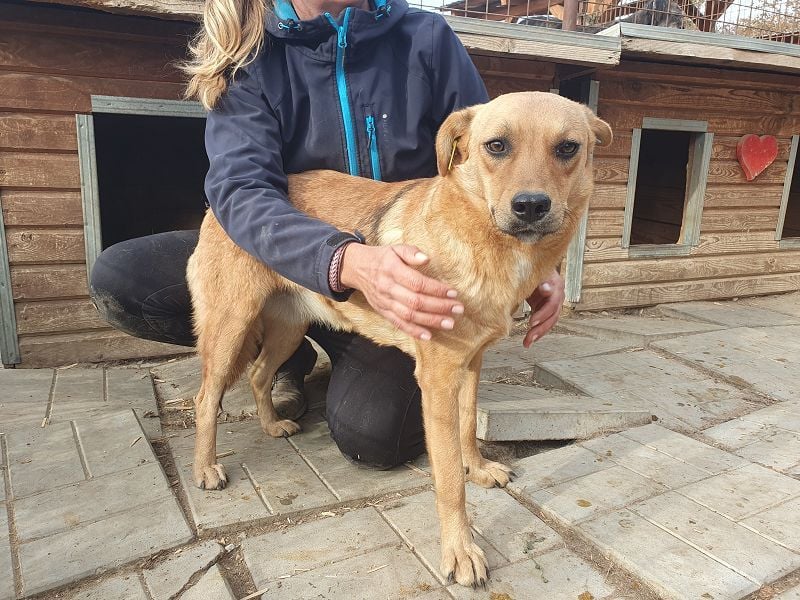 ♥PAULA♥ hübsche, sehr liebe, noch etwas zurückhaltende Zuckerschnute 46 cm