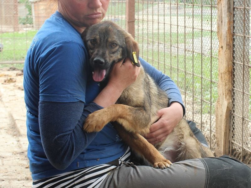 ♥MATS♥ fröhlicher, lieber schlanker Jungspund mit der handlichen Größe von 44 cm ♥MATS♥ fröhlicher, lieber schlanker Jungspund mit der handlichen Größe von 44 cm