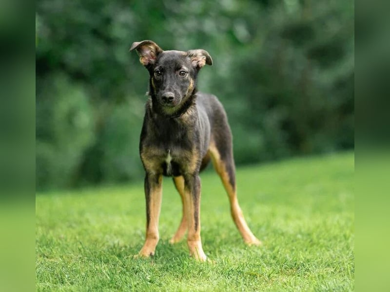 Sanfte Agatha ❤️ sucht Familie mit Herz