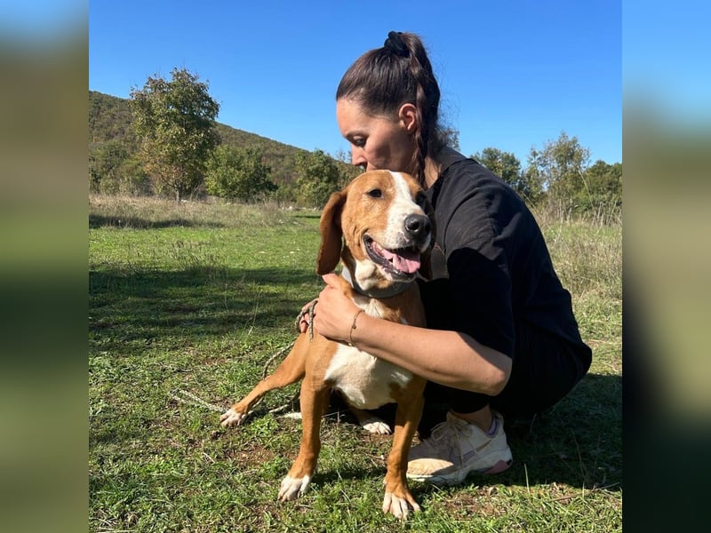 Dobby sucht sein Für-immer-Zuhause! ❤️ Dobby sucht sein Für-immer-Zuhause! ❤️