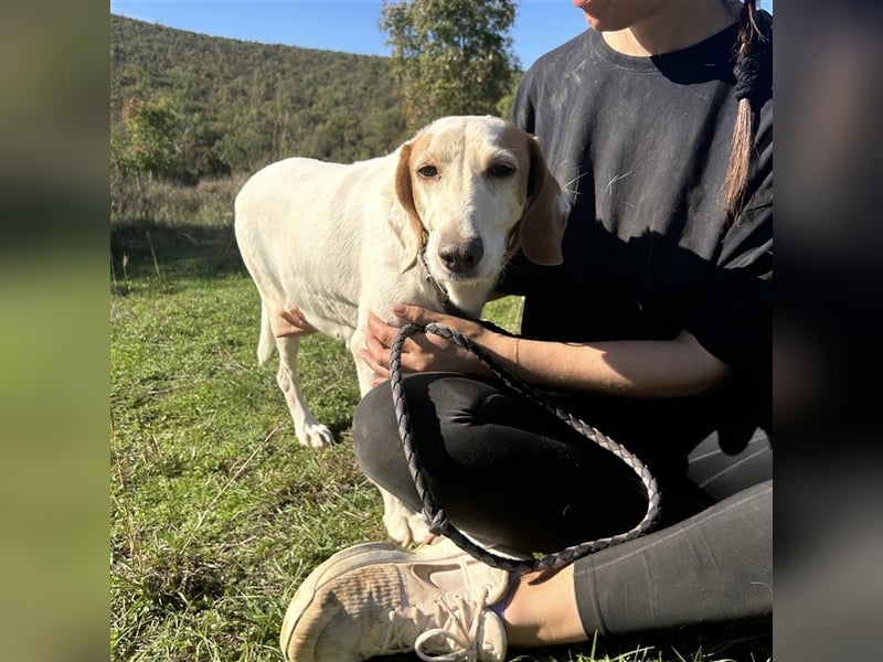 Irma sucht ein Zuhause ❤️