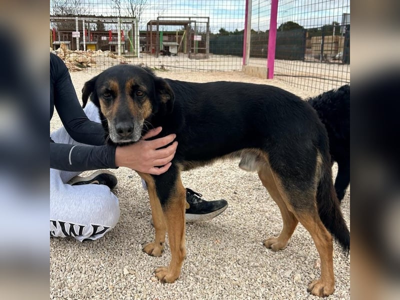 Naomi & Lero suchen ihr Für-immer-Zuhause ❤️