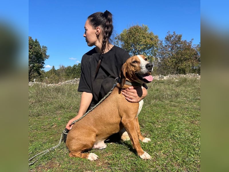 Dobby sucht sein Für-immer-Zuhause! ❤️ Dobby sucht sein Für-immer-Zuhause! ❤️