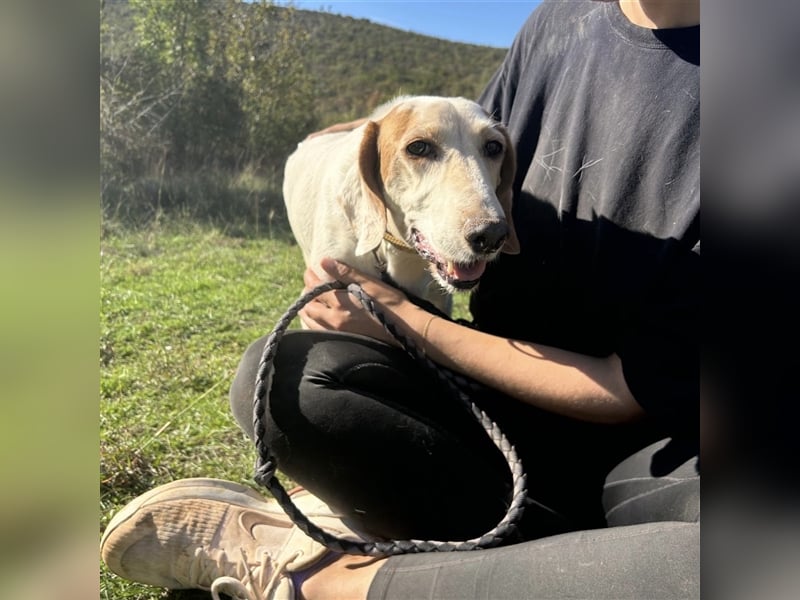 Irma sucht ein Zuhause ❤️