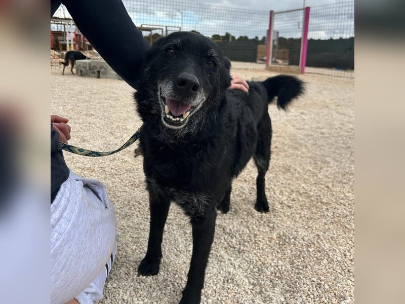 Naomi & Lero suchen ihr Für-immer-Zuhause ❤️