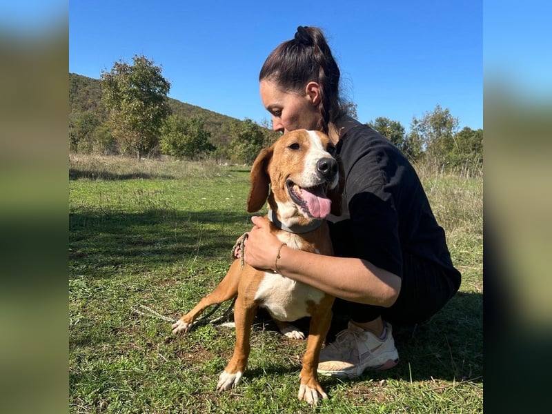 Dobby sucht sein Für-immer-Zuhause! ❤️ Dobby sucht sein Für-immer-Zuhause! ❤️