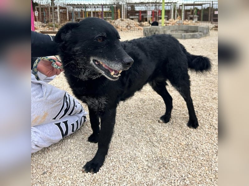 Naomi & Lero suchen ihr Für-immer-Zuhause ❤️