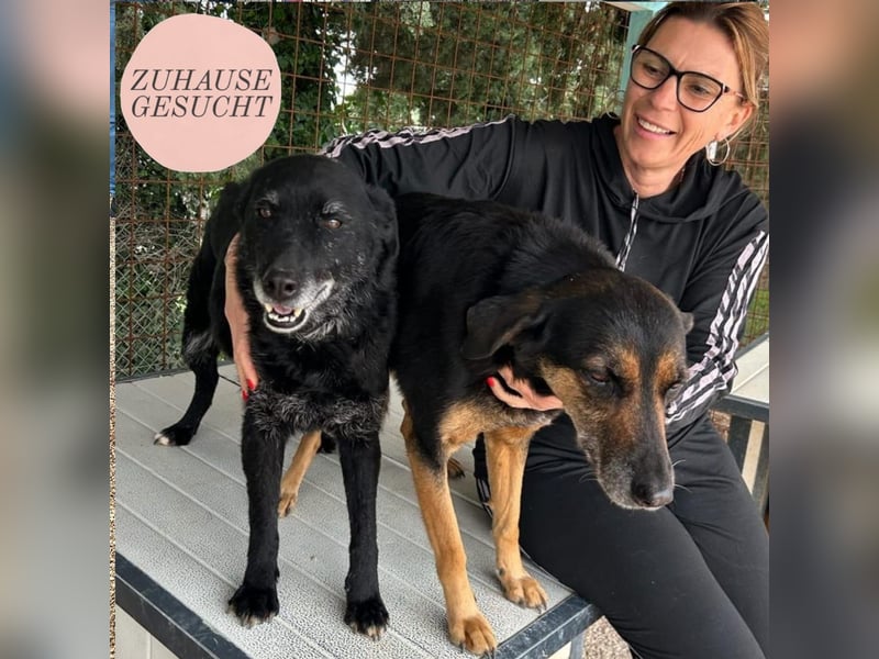 Naomi & Lero suchen ihr Für-immer-Zuhause ❤️