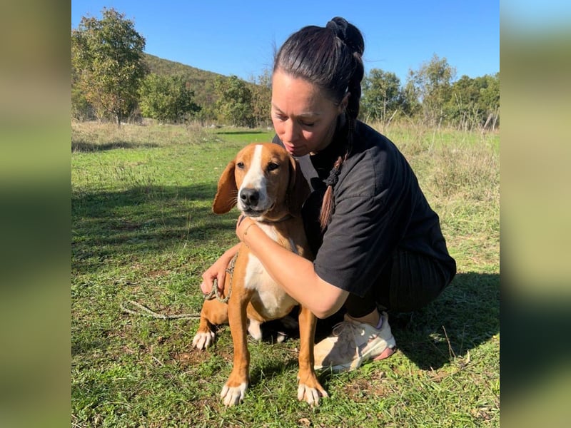 Dobby sucht sein Für-immer-Zuhause! ❤️ Dobby sucht sein Für-immer-Zuhause! ❤️
