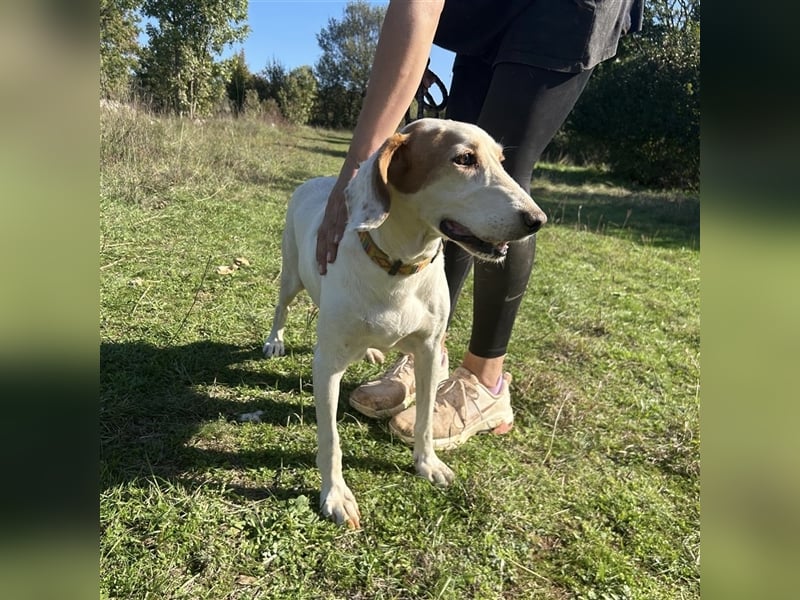 Irma sucht ein Zuhause ❤️