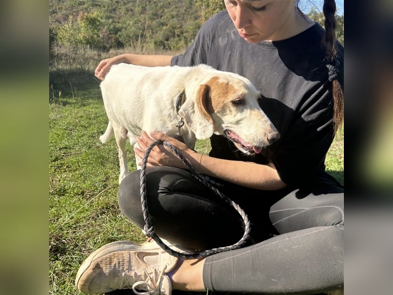 Irma sucht ein Zuhause ❤️