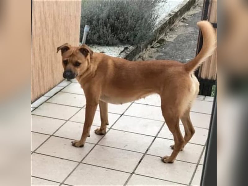 Mena sucht ihr neues Zuhause ❤️