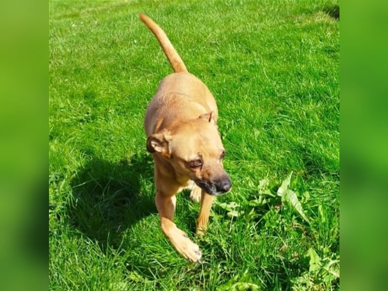 Mena sucht ihr neues Zuhause ❤️