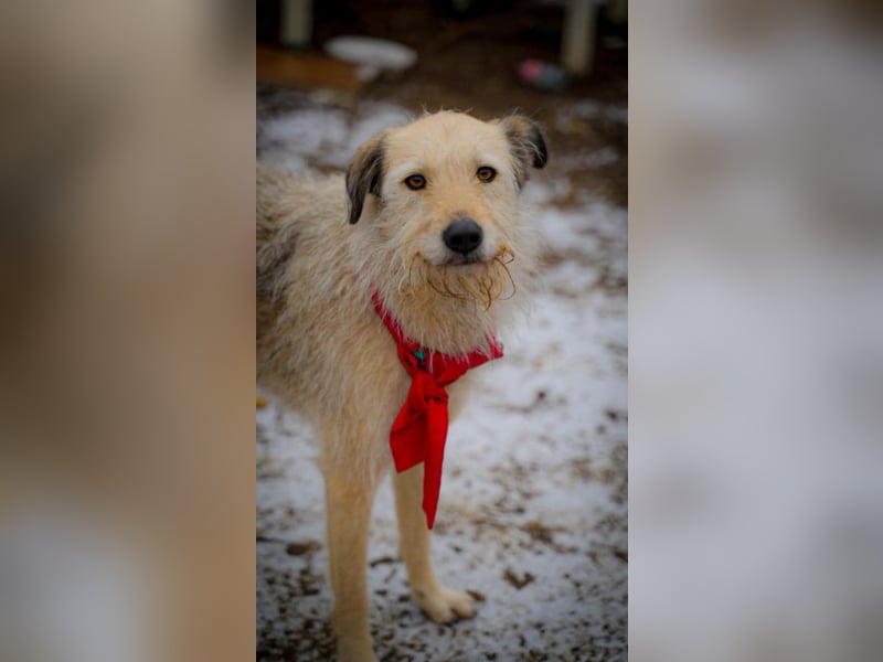 Bonnie sucht Geduld!