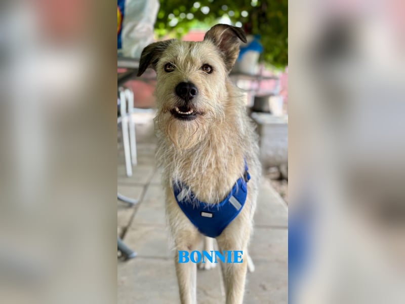 Bonnie sucht Geduld!