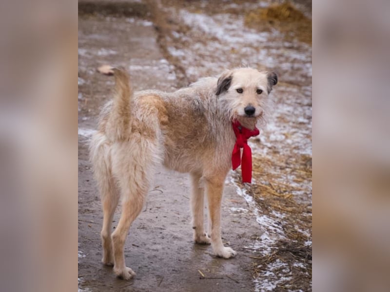 Bonnie sucht Geduld!