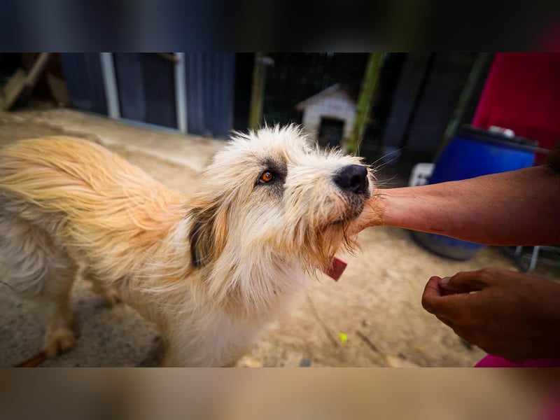 Bonnie sucht Geduld!