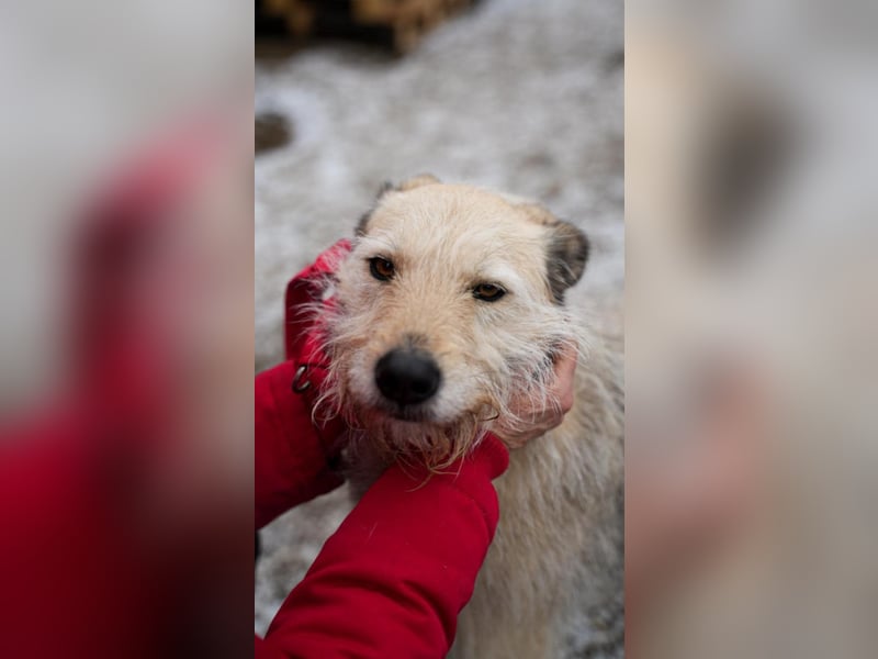 Bonnie sucht Geduld!