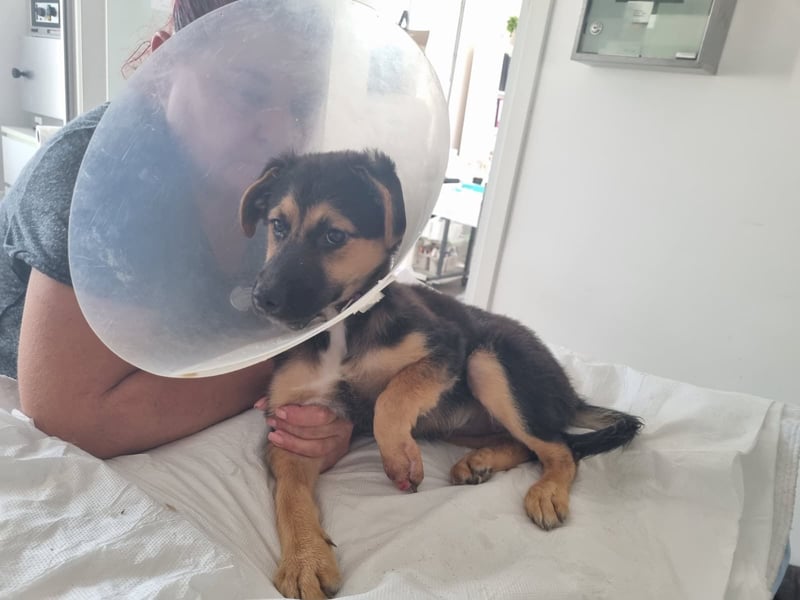 Mila sucht besondere Menschen