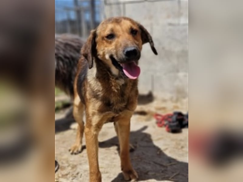 Mischling ❤️ Mischling ❤️