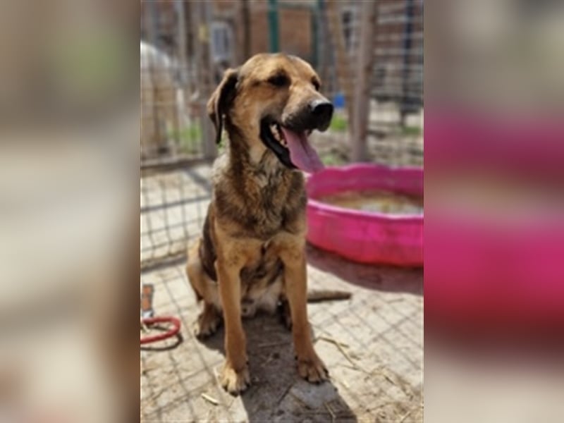 Mischling ❤️ Mischling ❤️