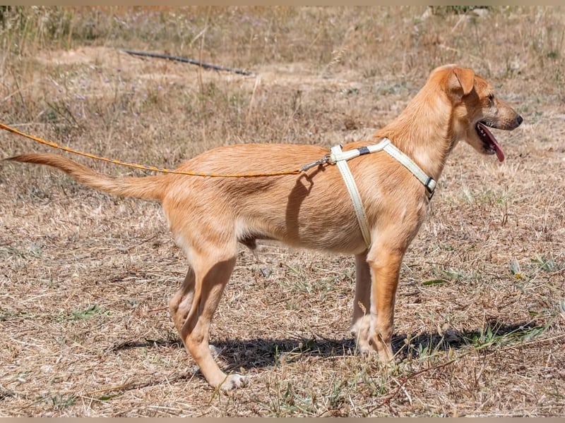 Fausto - ein munterer Geselle