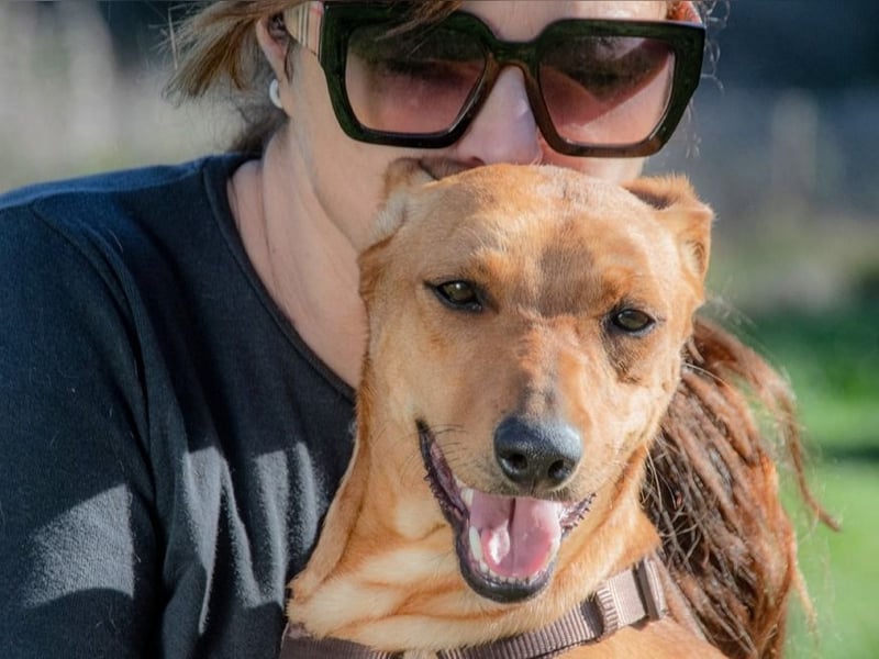 Ciana - eine sanfte Nachzüglerin Ciana - eine sanfte Nachzüglerin