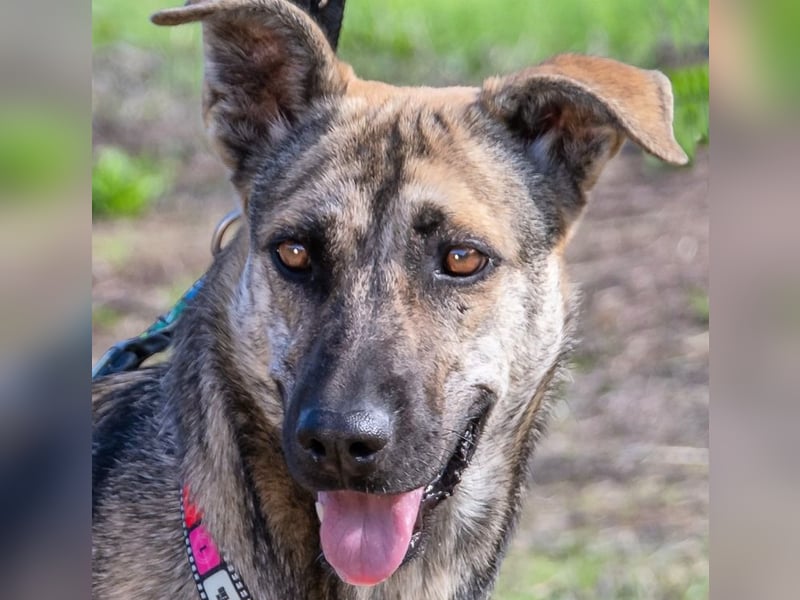 Jennifer – ein liebes Mädchen Jennifer – ein liebes Mädchen