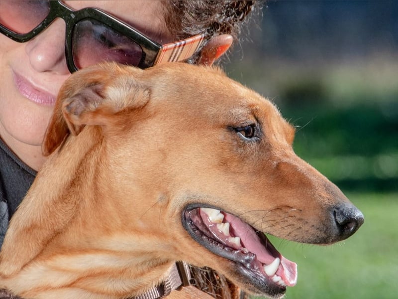 Ciana - eine sanfte Nachzüglerin Ciana - eine sanfte Nachzüglerin