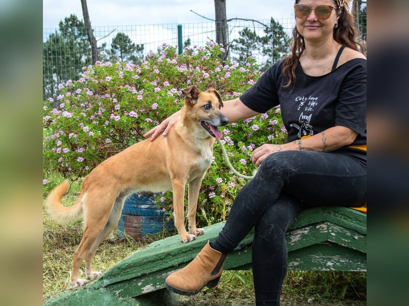 Sunny – eine selbstbewusste Dame