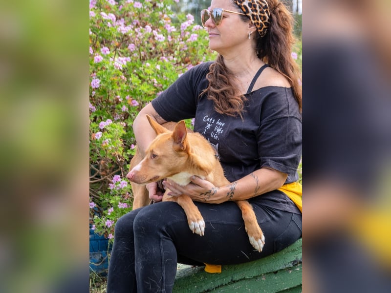 Bambi - auf der Suche nach Vertrauen