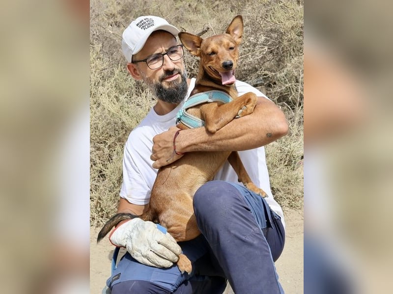 Ilia Topuria - lässt sich gerne anfassen, Leinenführig und Verspielt