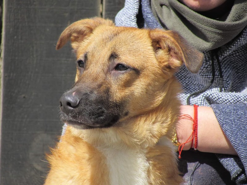 Havanna - sanfte Schönheit