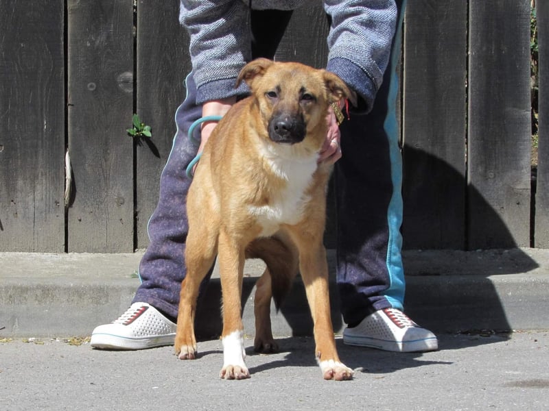 Havanna - sanfte Schönheit