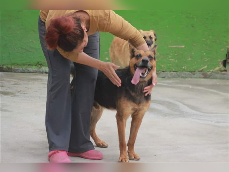 Bullet sucht ein neues Zuhause